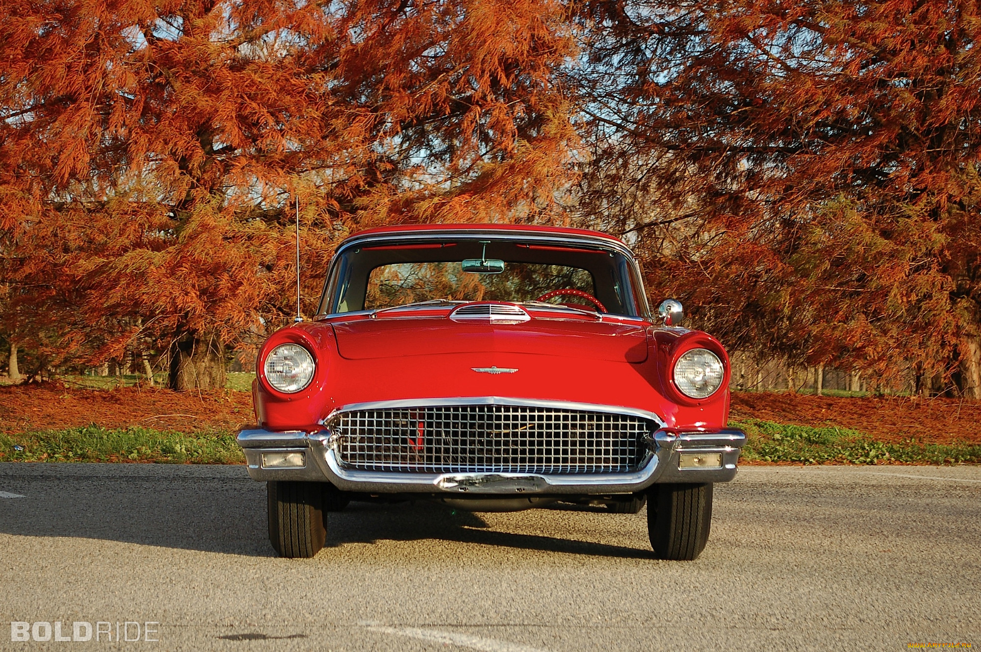 ford, thunderbird, 